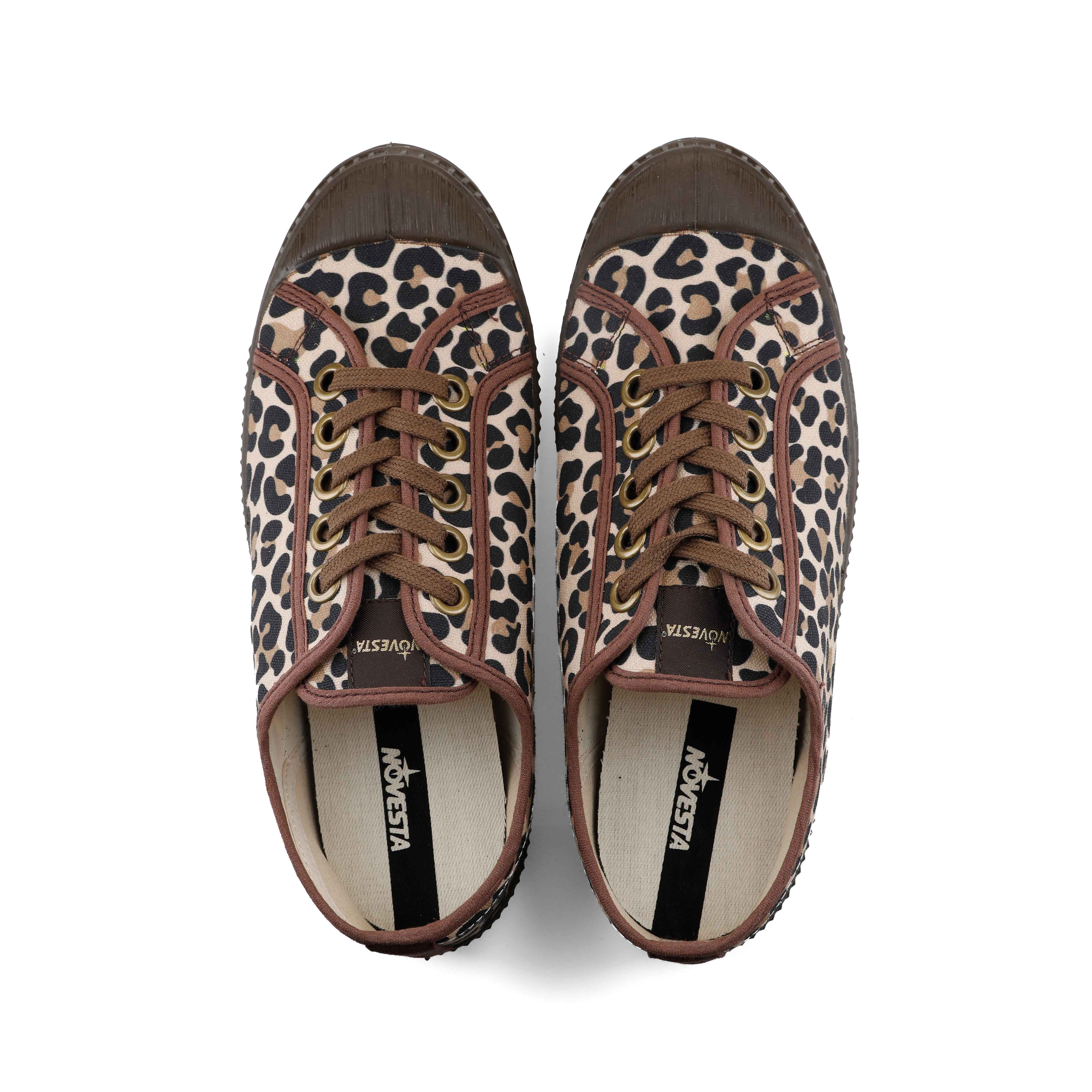 Bild von Star Master Leopard/Potting